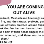 YOU ARE COMING OUT ALIVE