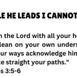 WHILE HE LEADS I CANNOT FALL