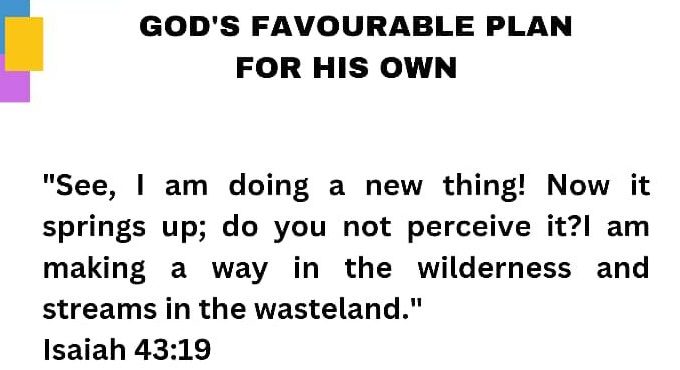 WhatsApp Image 2025-11-03 at 05.56.48_8929b145 WhatsApp Image 2025-11-03 at 05.56.48_8929b145