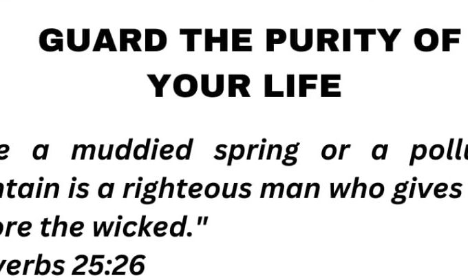WhatsApp Image 2025-11-24 at 05.48.00_59dafb28 WhatsApp Image 2025-11-24 at 05.48.00_59dafb28